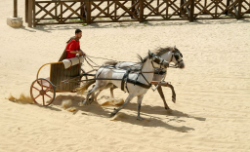 Chariot Racing.jpg